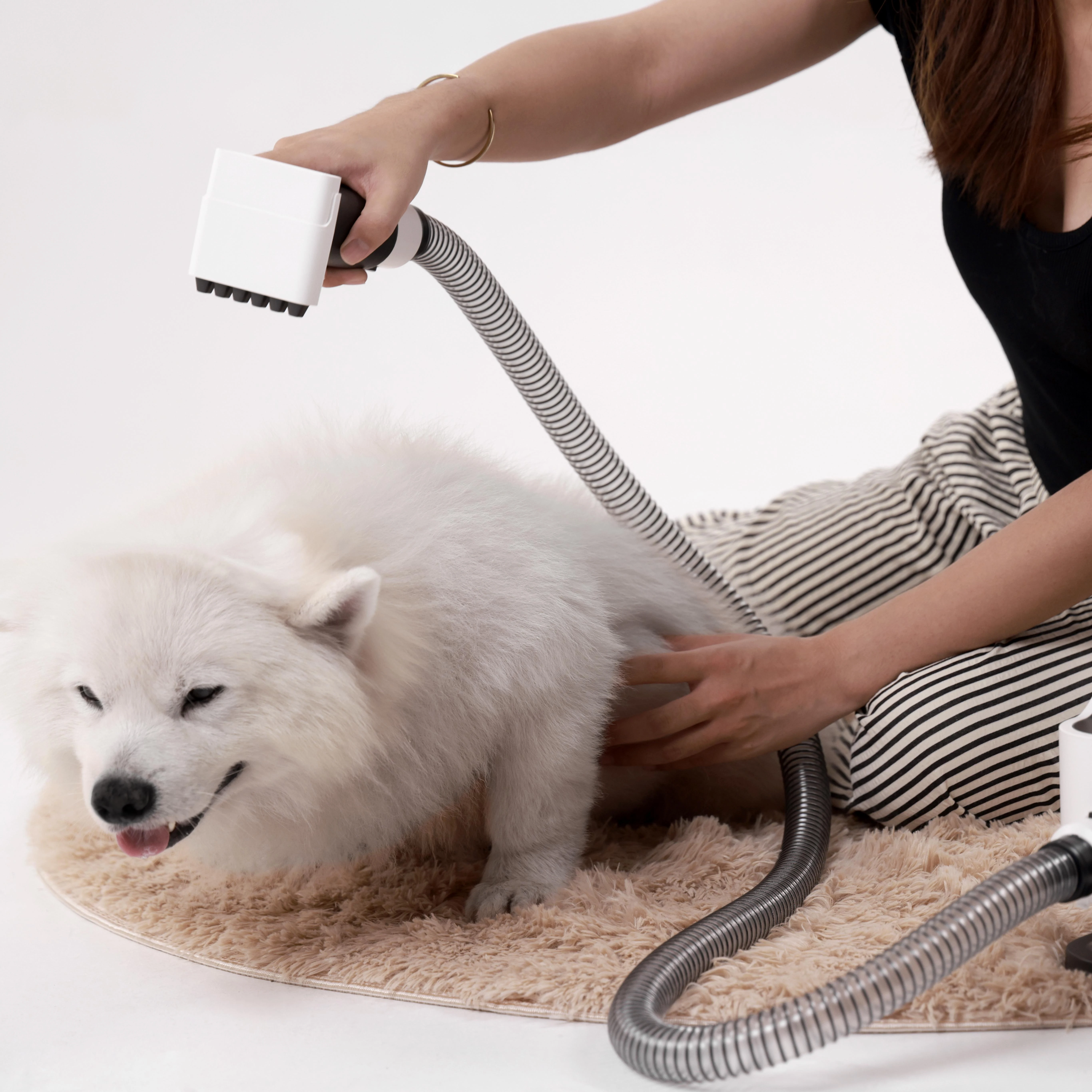 Een ontspannen langharige hond tijdens een verzorgingsmoment thuis